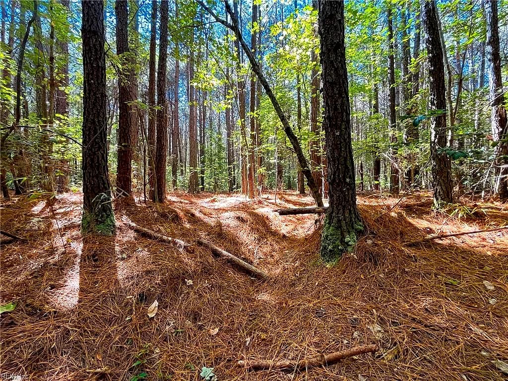 15 Acres Cypress Chapel RD, SUFFOLK VA 23434 thumb 7