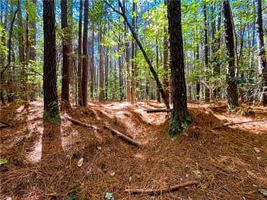 15 Acres Cypress Chapel RD, SUFFOLK VA 23434 thumb 7