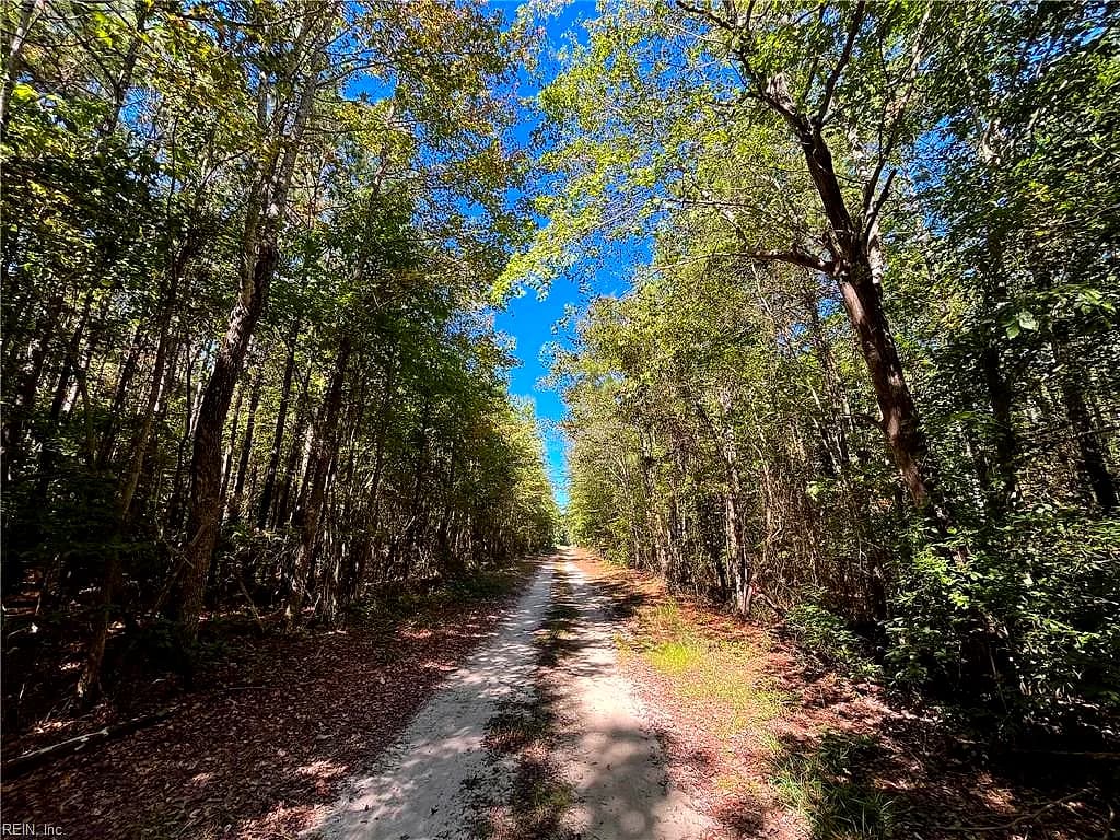 15 Acres Cypress Chapel RD, SUFFOLK VA 23434 thumb 9