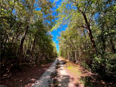 15 Acres Cypress Chapel RD, SUFFOLK VA 23434 thumb 9