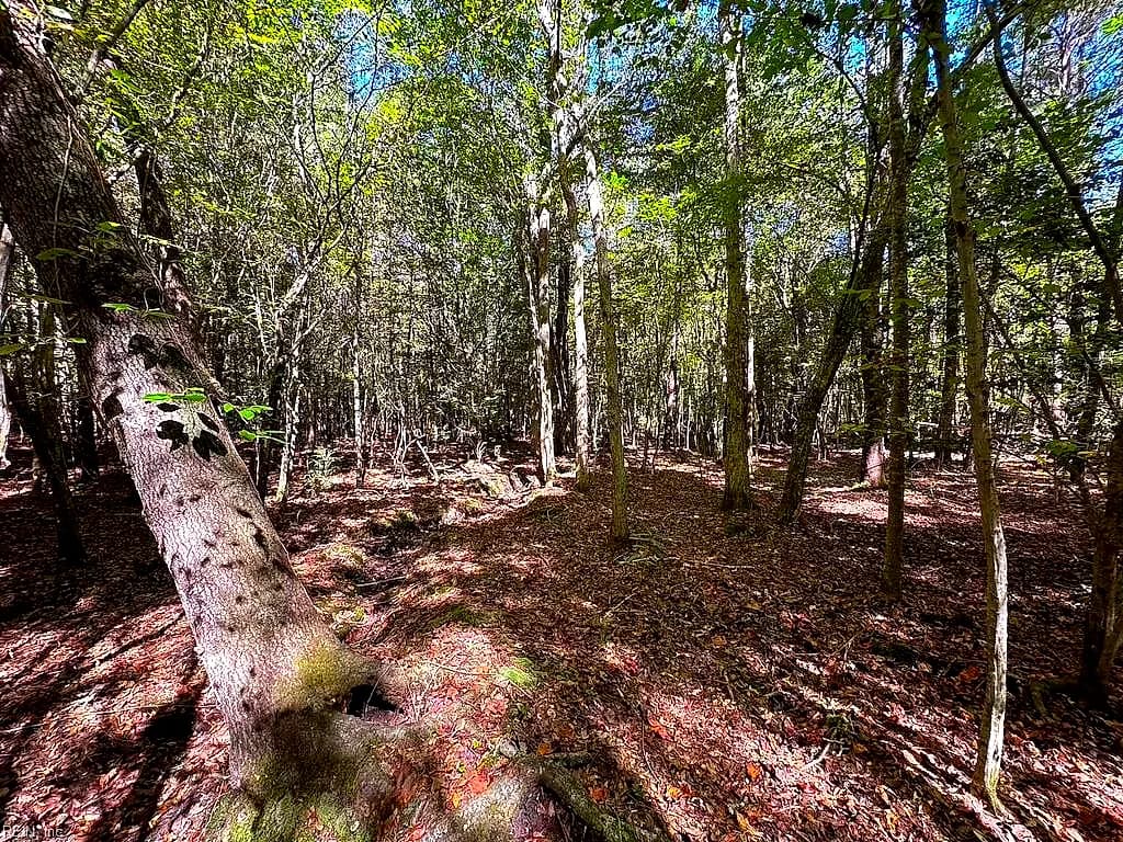 45.5 Acres Cypress Chapel RD, SUFFOLK VA 23434 thumb 11