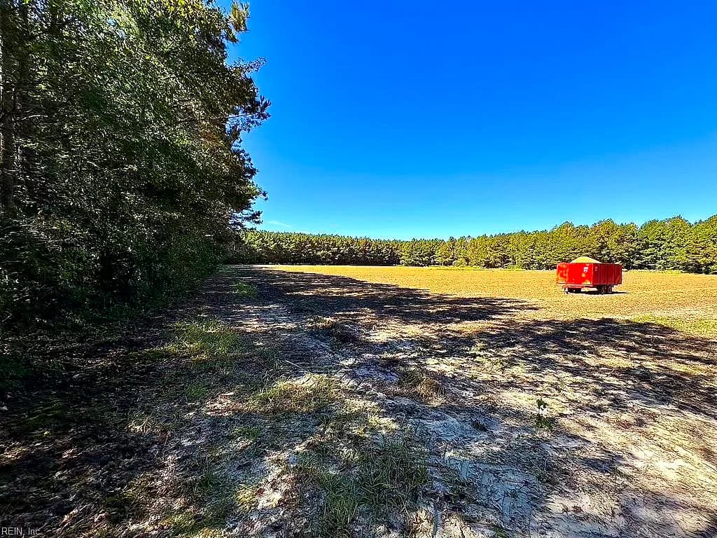 45.5 Acres Cypress Chapel RD, SUFFOLK VA 23434 - Photo 3