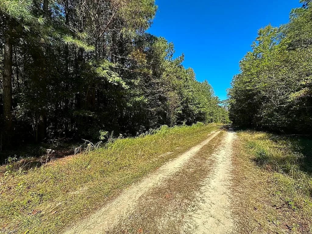 45.5 Acres Cypress Chapel RD, SUFFOLK VA 23434 - Photo 5
