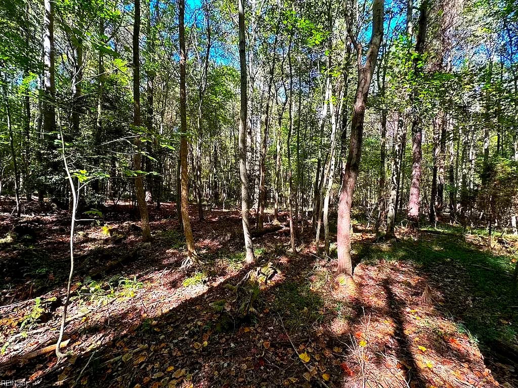 45.5 Acres Cypress Chapel RD, SUFFOLK VA 23434 thumb 8