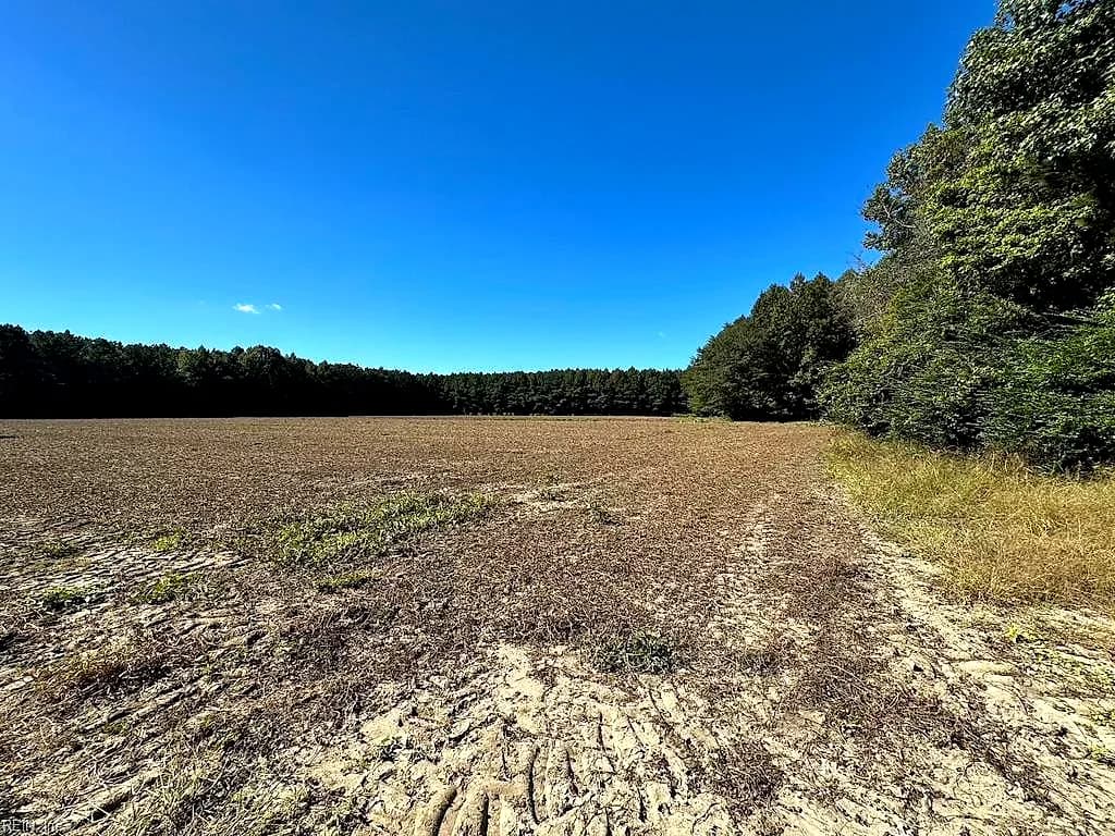 45.5 Acres Cypress Chapel RD, SUFFOLK VA 23434 thumb 9