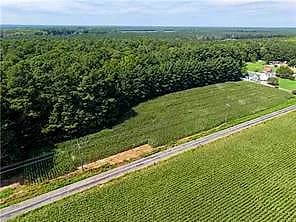 00 White Marsh RD, ELBERON VA 23846 - Photo 3