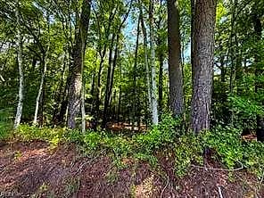 00 White Marsh RD, ELBERON VA 23846 - Photo 5