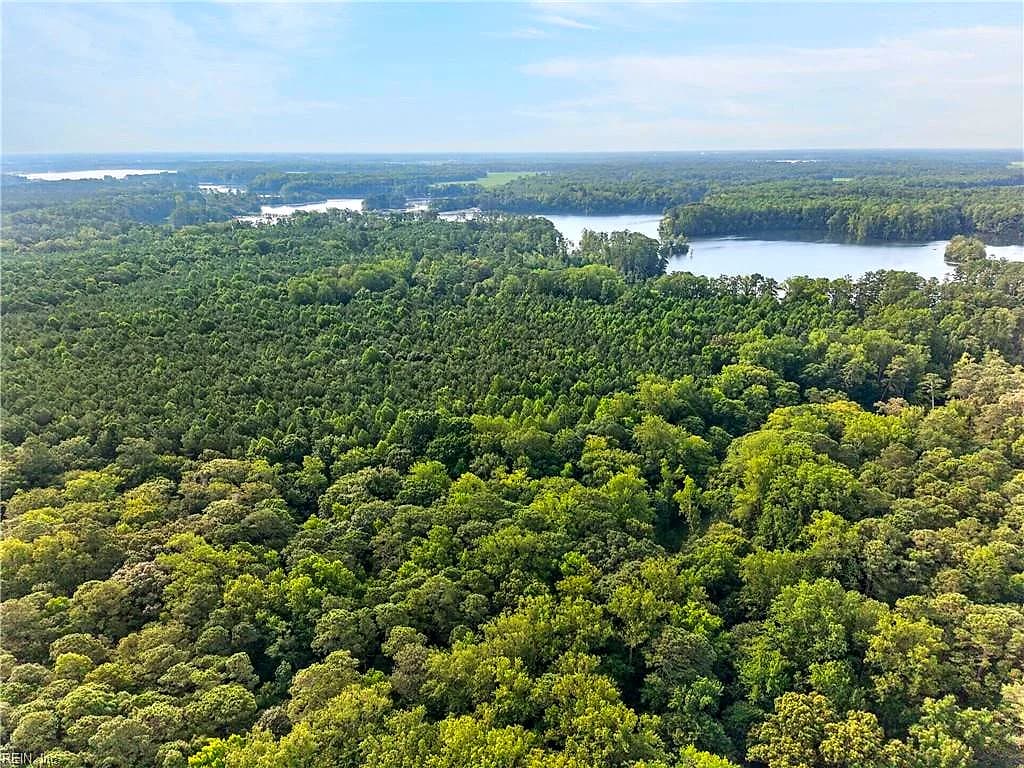 73.58 AC Milners RD, SUFFOLK VA 23434 - Photo 4