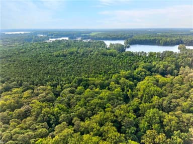 73.58 AC Milners RD, SUFFOLK VA 23434 thumb 4