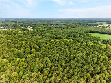 73.58 AC Milners RD, SUFFOLK VA 23434 thumb 9