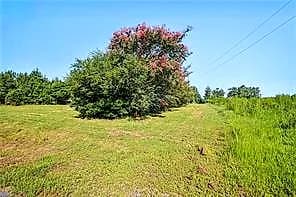 9972 Southwestern BLVD, SUFFOLK VA 23437 - Photo 5