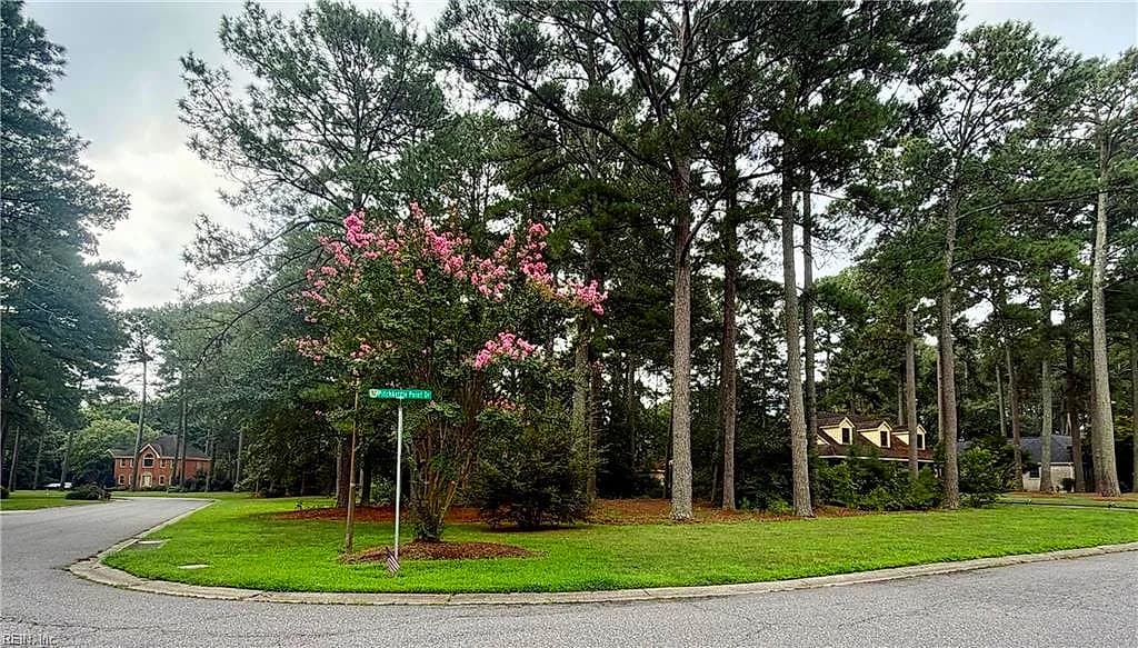 Lot 8 Pitchkettle Point DR, SUFFOLK VA 23434 - Photo 3