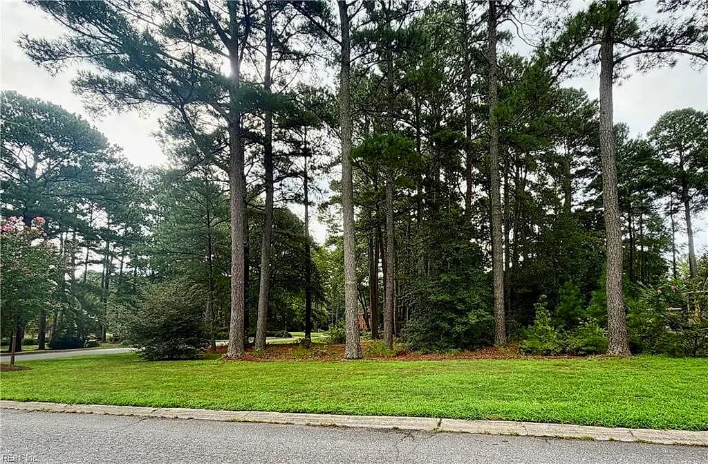 Lot 8 Pitchkettle Point DR, SUFFOLK VA 23434 - Photo 4