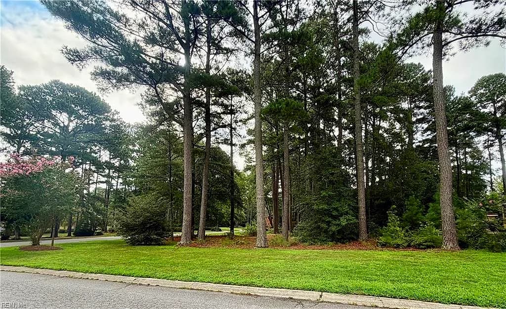 Lot 8 Pitchkettle Point DR, SUFFOLK VA 23434 - Photo 5