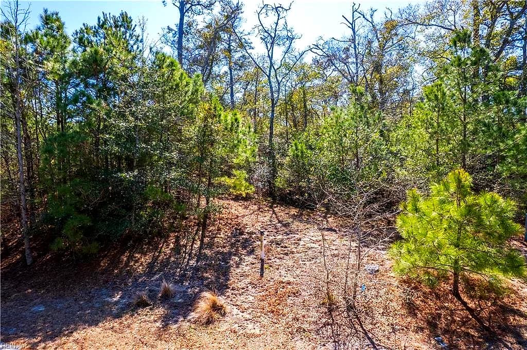 164 Shingle Landing LN, KILLDEVILHILLS NC 27948 thumb 8