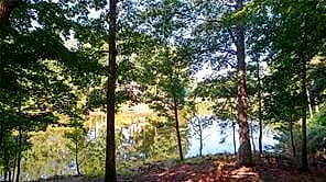 4904 Whitehaven CIR, WILLIAMSBURG VA 23188 - Photo 4