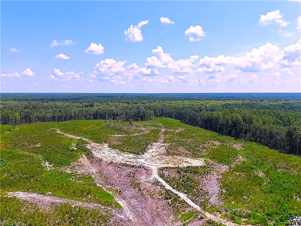 125 Ac Newville RD, WAVERLY VA 23890 - Photo 4