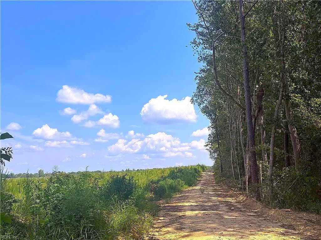 125 Ac Newville RD, WAVERLY VA 23890 thumb 6