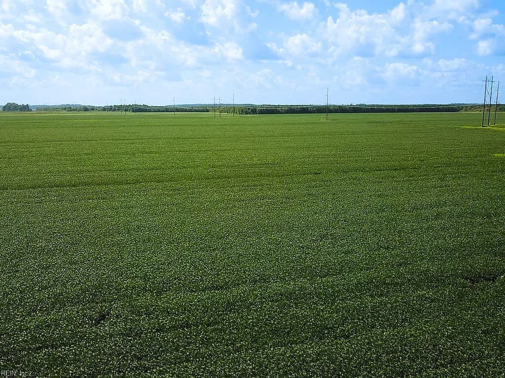 11.8 Acres Ballahck RD, CHESAPEAKE VA 23322 - Photo 3