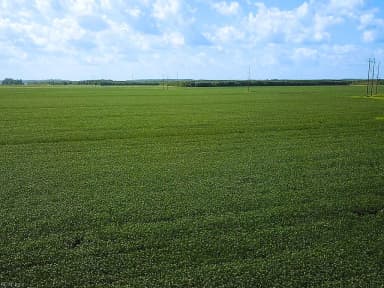 11.8 Acres Ballahack RD, CHESAPEAKE VA 23322 thumb 3