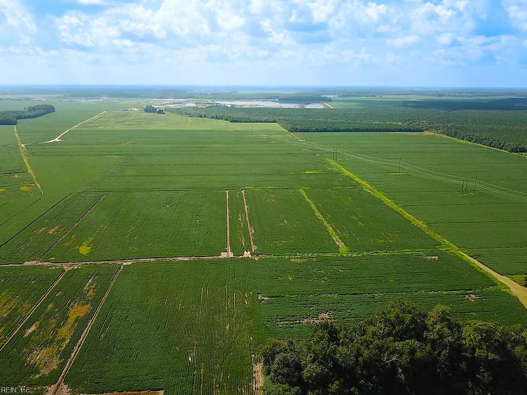 11.8 Acres Ballahck RD, CHESAPEAKE VA 23322 thumb 6
