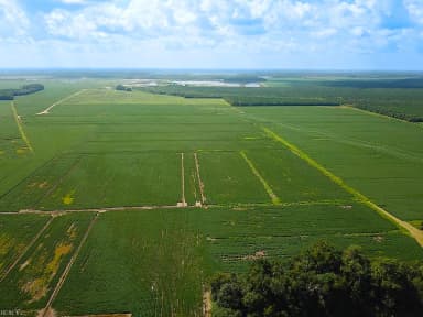 11.8 Acres Ballahack RD, CHESAPEAKE VA 23322 thumb 6