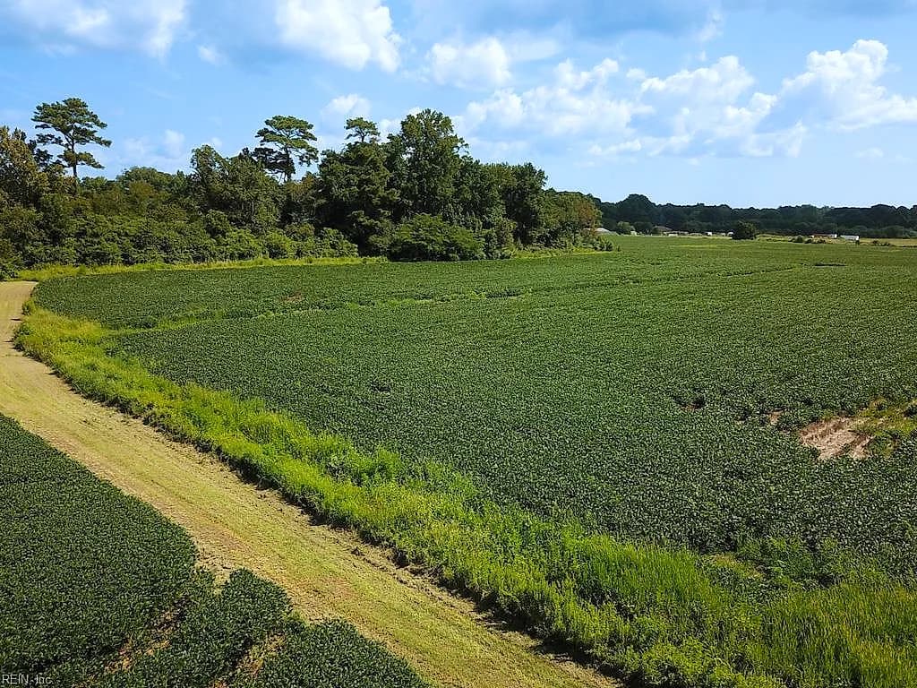 11.8 Acres Ballahck RD, CHESAPEAKE VA 23322 thumb 7