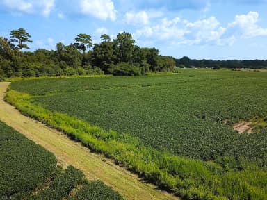 11.8 Acres Ballahack RD, CHESAPEAKE VA 23322 thumb 7