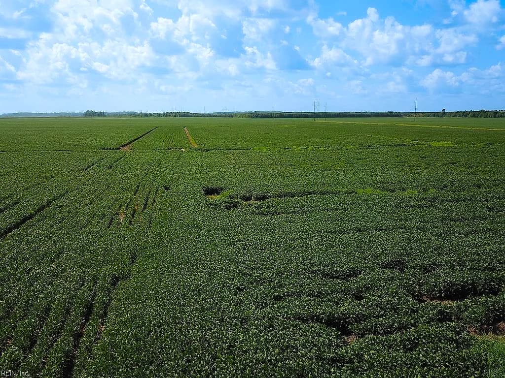 11.8 Acres Ballahck RD, CHESAPEAKE VA 23322 thumb 8