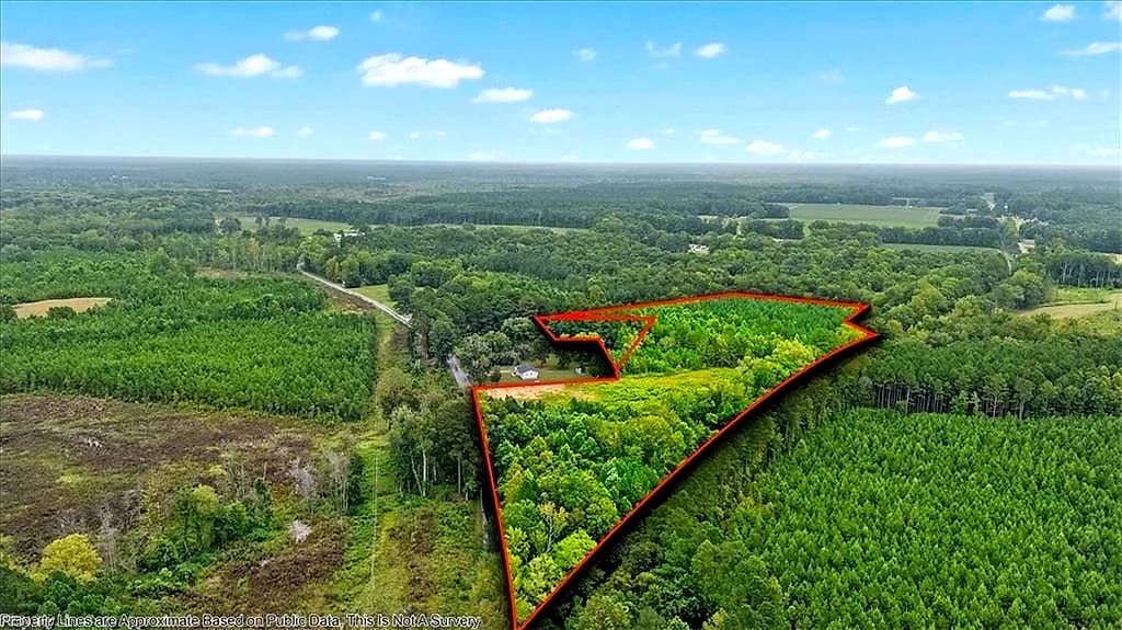 10+AC Brick Yard RD, EMPORIA VA 23847 - Photo 2