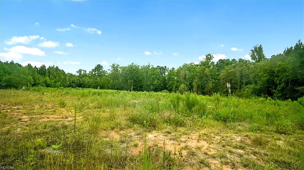 10+AC Brick Yard RD, EMPORIA VA 23847 - Photo 4