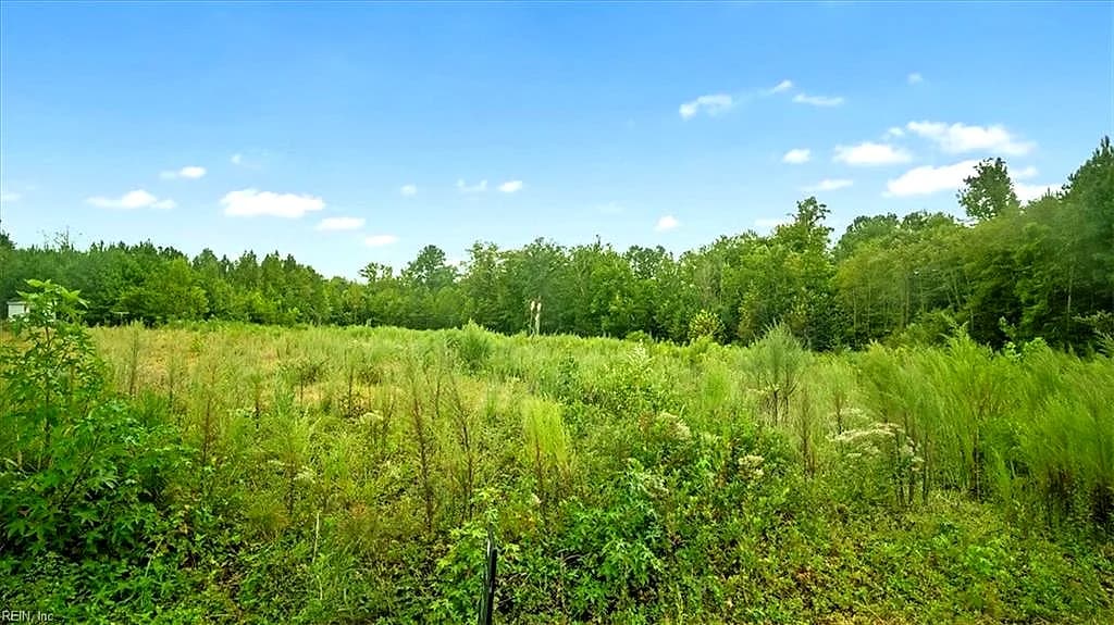 10+AC Brick Yard RD, EMPORIA VA 23847 - Photo 5