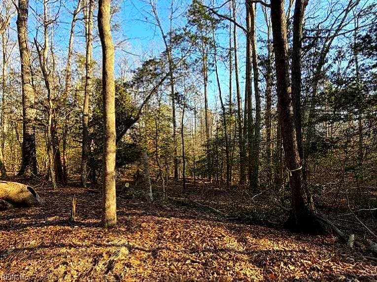 4.68AC King William RD, KING WILLIAM VA 23086 - Photo 2