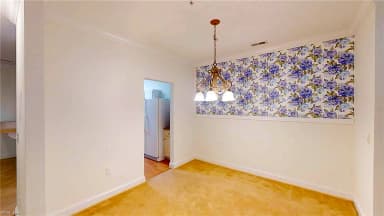 300 Riveranne CT #313, VIRGINIA BEACH VA 23462 thumb 4
