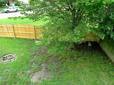4901 Denny DR, VIRGINIA BEACH VA 23464 thumb 9