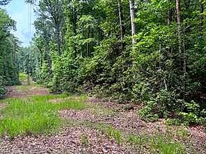 Lot 23 Rivers Knoll NONE, HEATHSVILLE VA 22473 - Photo 3