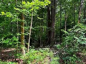 Lot 23 Rivers Knoll NONE, HEATHSVILLE VA 22473 thumb 6