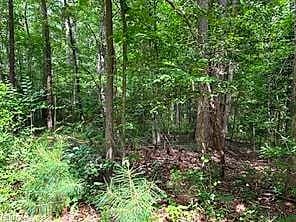 Lot 23 Rivers Knoll NONE, HEATHSVILLE VA 22473 thumb 7