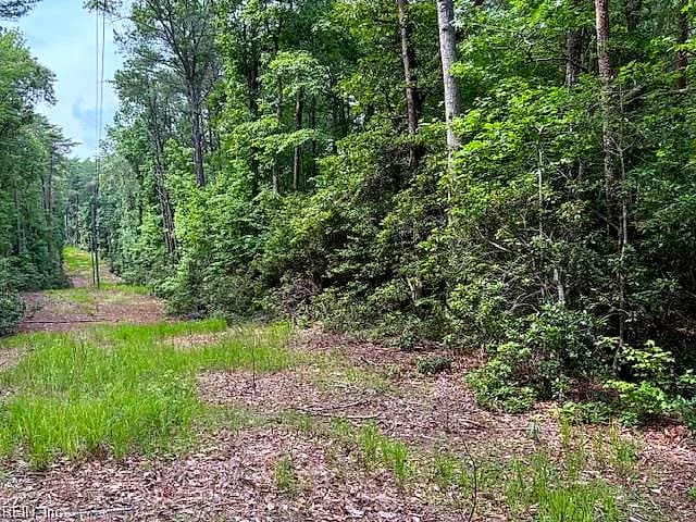 Lot 24 Rivers Knoll NONE, HEATHSVILLE VA 22473 - Photo 3