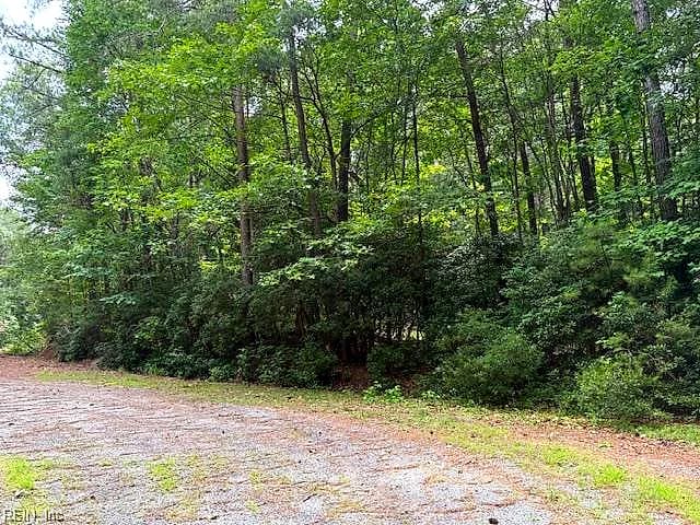 Lot 24 Rivers Knoll NONE, HEATHSVILLE VA 22473 - Photo 4