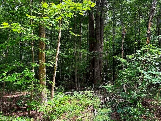 Lot 24 Rivers Knoll NONE, HEATHSVILLE VA 22473 thumb 6