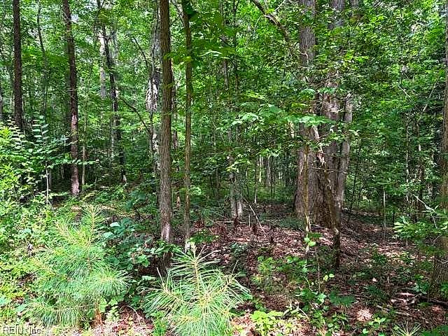 Lot 28 Rivers Knoll NONE, HEATHSVILLE VA 22473 thumb 7