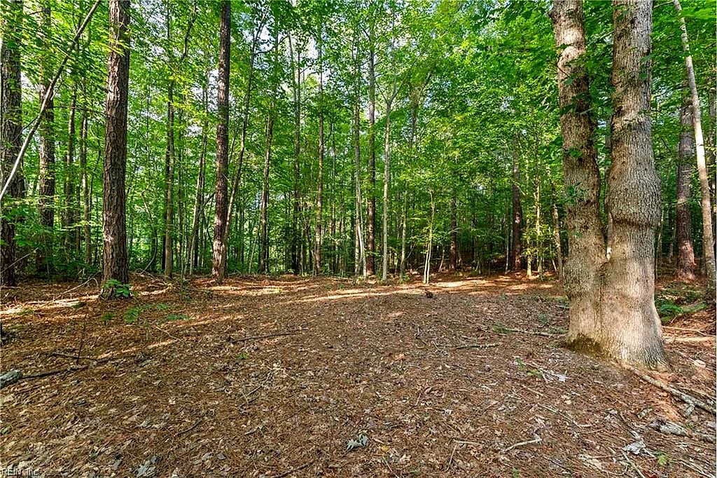 Lot 9 Deerwood CT, GLOUCESTER VA 23061 - Photo 3