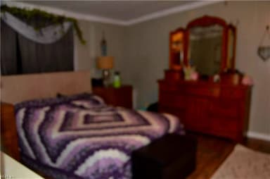 10007 Old Myrtle RD, CARRSVILLE VA 23315 thumb 12