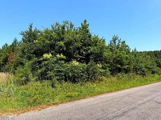 116 Ac Walnut Hill RD, WAVERLY VA 23890 - Photo 5