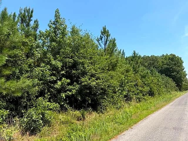 116 Ac Walnut Hill RD, WAVERLY VA 23890 thumb 6