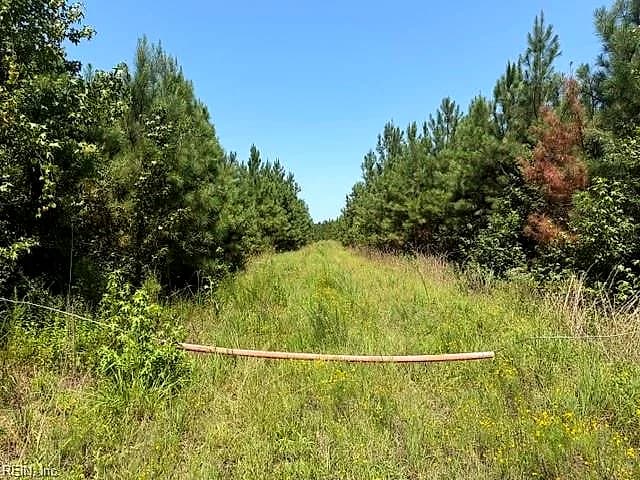116 Ac Walnut Hill RD, WAVERLY VA 23890 thumb 8