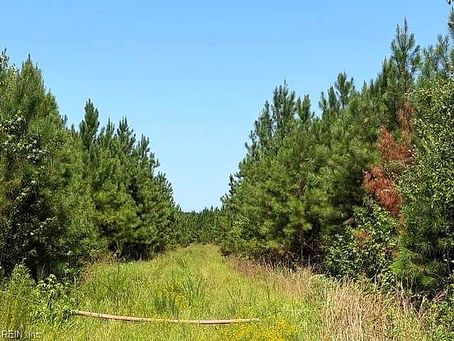116 Ac Walnut Hill RD, WAVERLY VA 23890 thumb 9