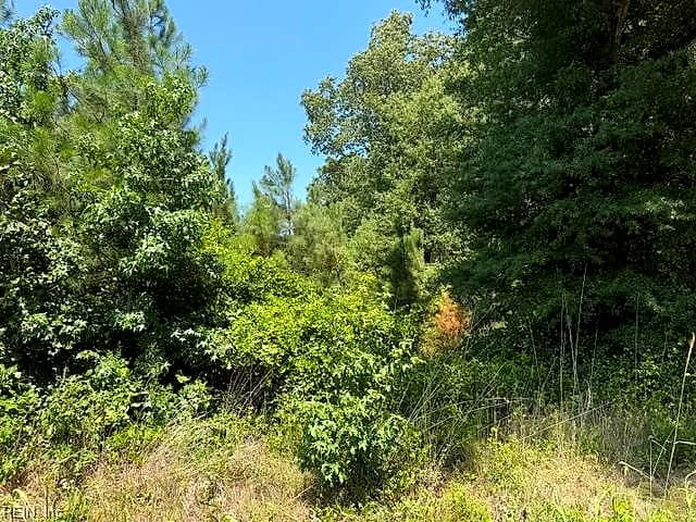 116 Ac Walnut Hill RD, WAVERLY VA 23890 thumb 10