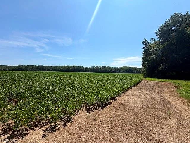 172 Ac Georgetown RD, WAVERLY VA 23890 - Photo 3